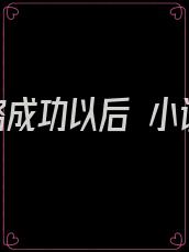 攻略成功以后 小说